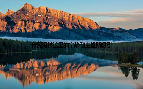 我深深被这里的宁静和生机所吸引