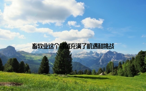 畜牧业这个领域充满了机遇和挑战