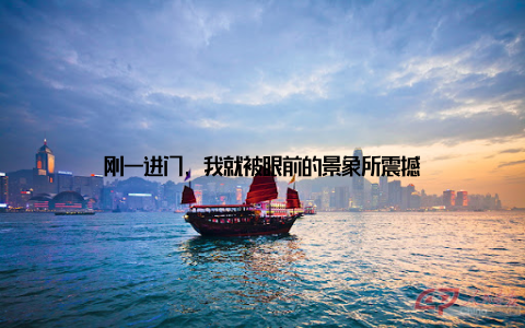 刚一进门, 我就被眼前的景象所震撼