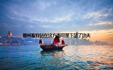 德州畜牧站在这方面可是下足了功夫