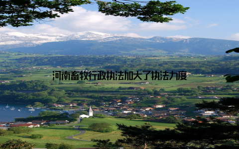 河南畜牧行政执法加大了执法力度