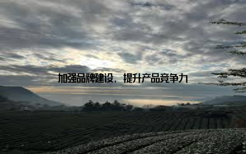 加强品牌建设, 提升产品竞争力