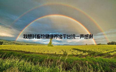 我想对畜牧健康养猪平台说一声感谢