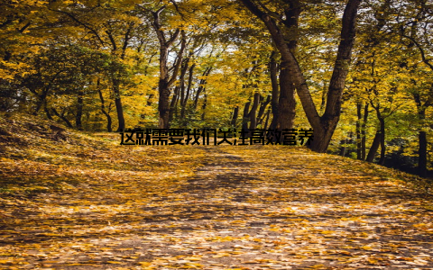 这就需要我们关注高效营养