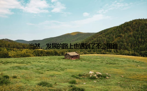 当然, 发展的路上也遇到了不少困难