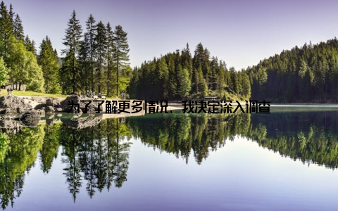 为了了解更多情况, 我决定深入调查