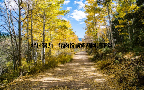 经过努力, 猪肉价格逐渐回归正常