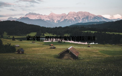 紧接着, 是行业专家们的精彩演讲