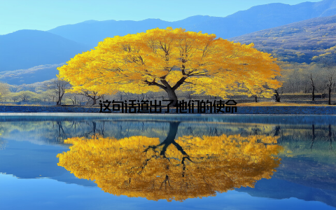 这句话道出了他们的使命