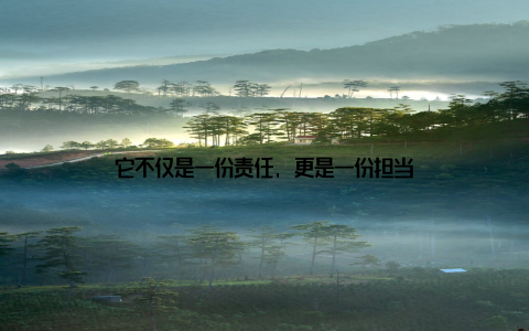 它不仅是一份责任, 更是一份担当