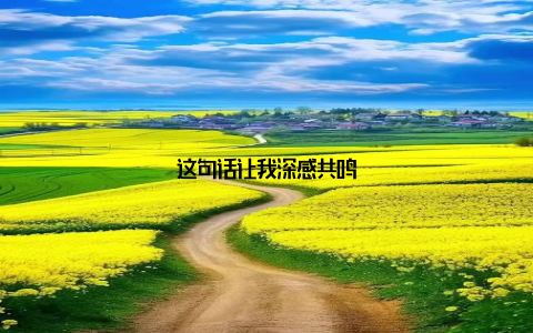这句话让我深感共鸣