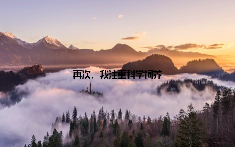 再次, 我注重科学饲养