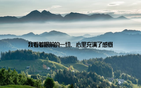 我看着眼前的一切, 心里充满了感慨