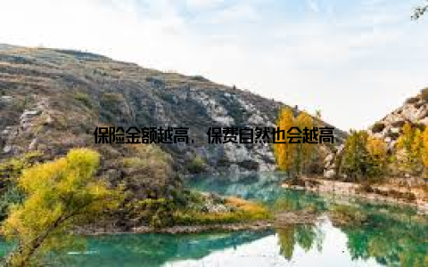 保险金额越高, 保费自然也会越高