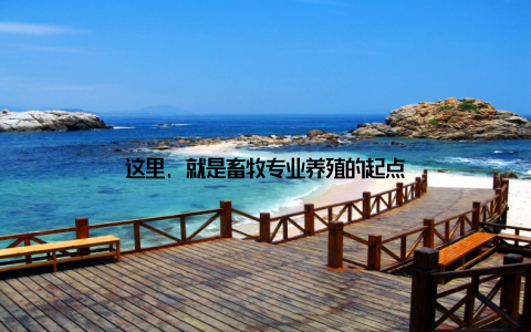 这里, 就是畜牧专业养殖的起点