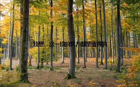 我想, 这一切的努力都是值得的