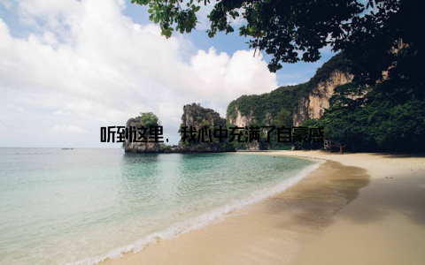 听到这里, 我心中充满了自豪感