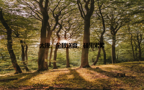 太原, 金秋送爽, 硕果累累