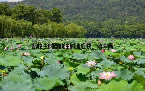 畜牧注射器的注射速度快, 效率高