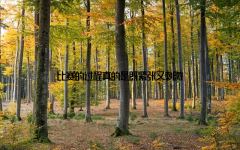 比赛的过程真的是既紧张又刺激