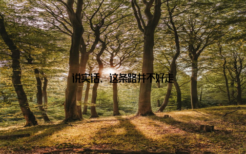 说实话, 这条路并不好走