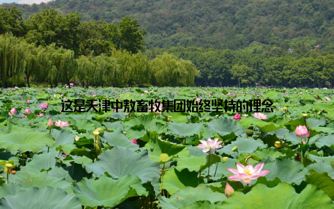 这是天津中敖畜牧集团始终坚持的理念