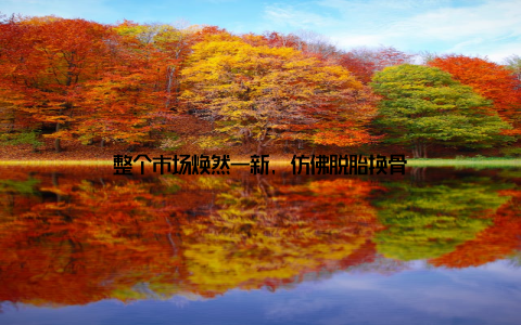 整个市场焕然一新, 仿佛脱胎换骨