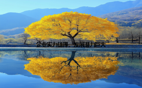 企业实力雄厚, 发展潜力巨大