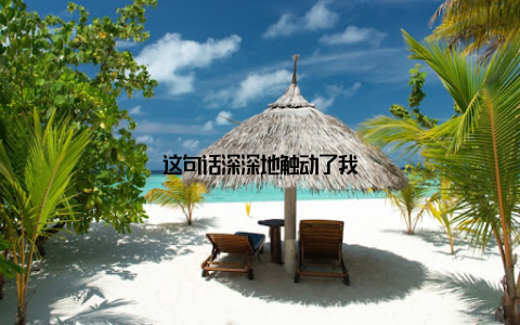 这句话深深地触动了我