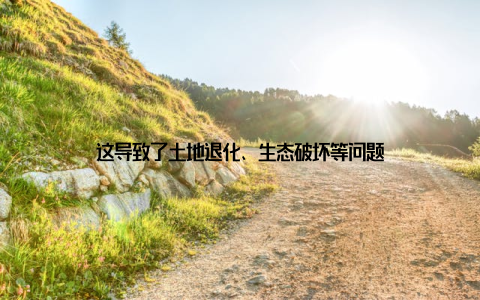 这导致了土地退化、生态破坏等问题