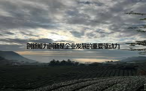 创新能力创新是企业发展的重要驱动力