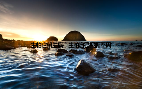 生怕它们生病, 生怕自己照顾不周