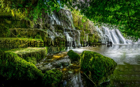 大会主持人的一番话, 让我心中一动