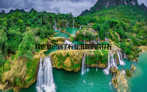 我也意识到了行业潜规则的存在