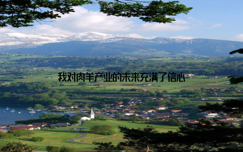 我对肉羊产业的未来充满了信心