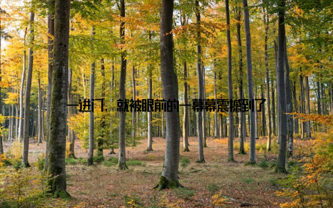 一进门, 就被眼前的一幕幕震撼到了