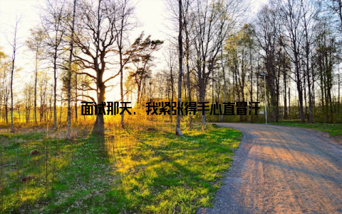 面试那天, 我紧张得手心直冒汗