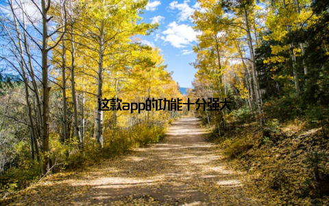 这款app的功能十分强大