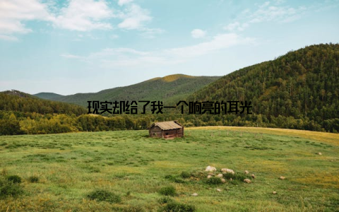 现实却给了我一个响亮的耳光