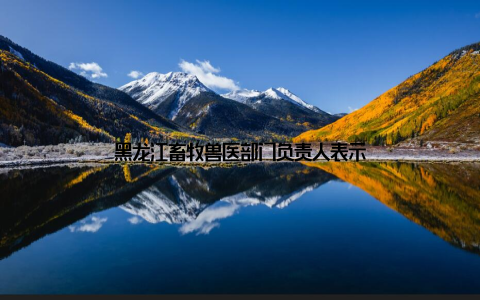 黑龙江畜牧兽医部门负责人表示