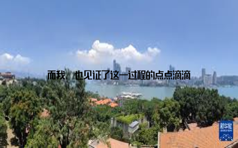而我, 也见证了这一过程的点点滴滴