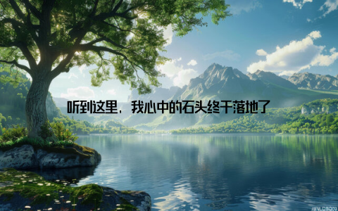 听到这里, 我心中的石头终于落地了