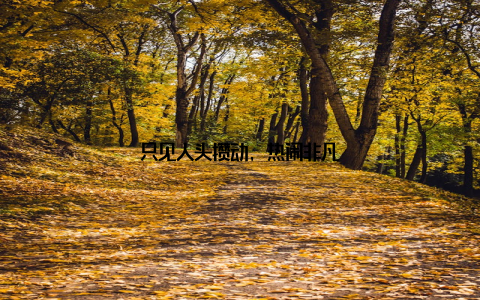 只见人头攒动, 热闹非凡