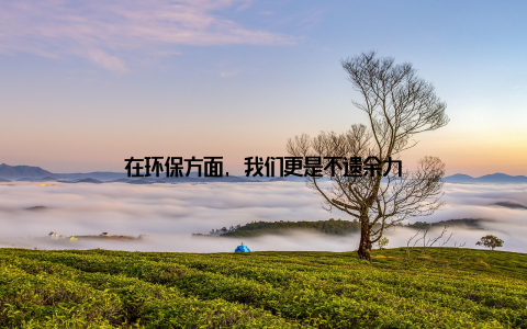在环保方面, 我们更是不遗余力