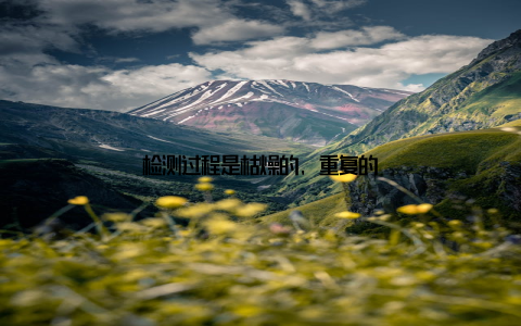 检测过程是枯燥的, 重复的