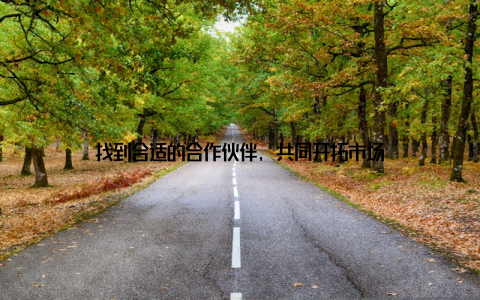 找到合适的合作伙伴, 共同开拓市场