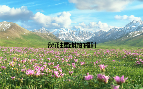 我们注重动物的福利