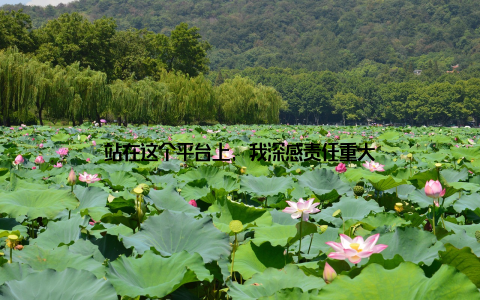 站在这个平台上, 我深感责任重大