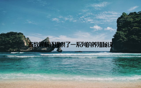 畜牧导航还提供了一系列的养殖秘诀