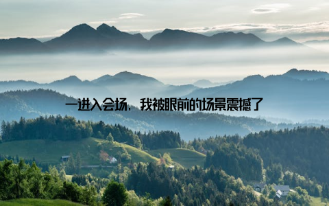 一进入会场, 我被眼前的场景震撼了